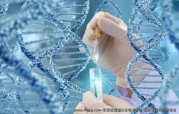东莞试管婴儿价格多少钱?哪些医院有试管资质