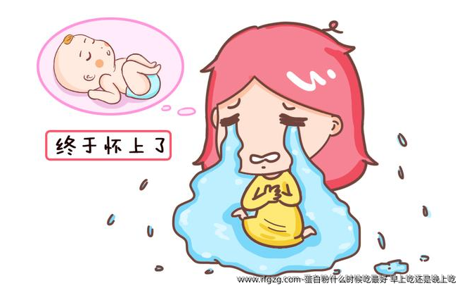 蛋白粉什么时候吃较好 早上吃还是晚上吃