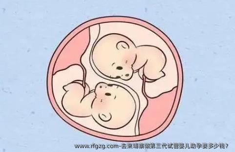 去柬埔寨做第三代代孕助孕要多少钱？