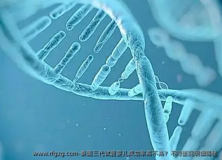 泰国三代代孕成功率高不高？不同医院明细揭秘