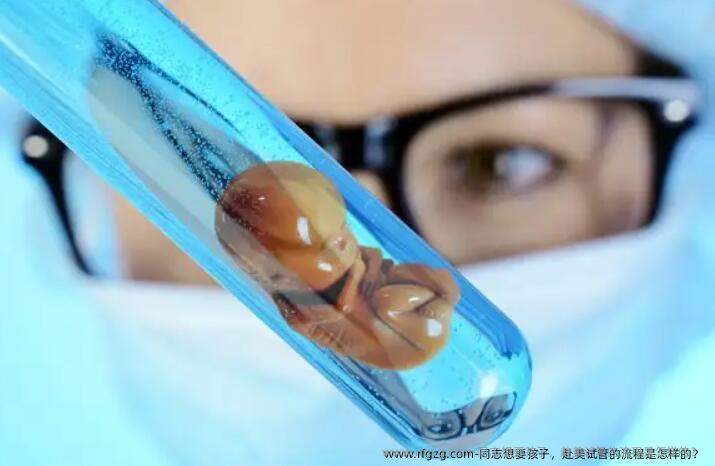 同志想要孩子，赴美试管的流程是怎样的？ 