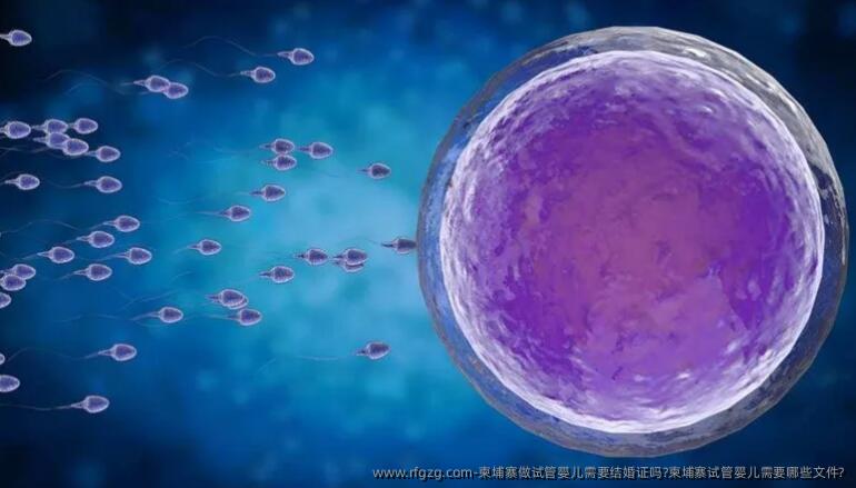 柬埔寨做代孕需要结婚证吗?柬埔寨代孕需要哪些文件?