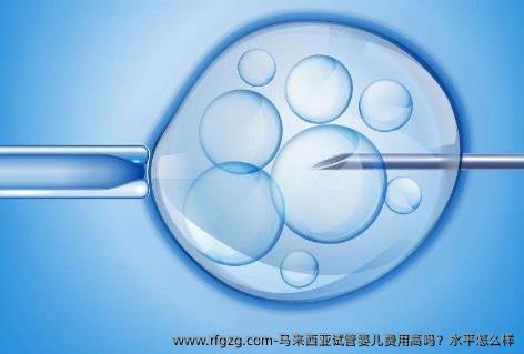 马来西亚代孕费用高吗？水平怎么样