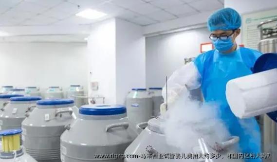 马来西亚代孕费用大约多少，和国内区别大吗？