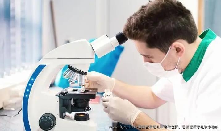 美国代孕排名怎么样，美国代孕多少费用