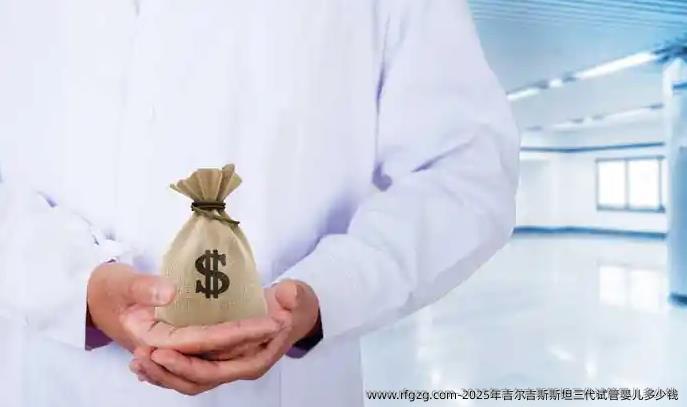 2025年吉尔吉斯斯坦三代代孕多少钱