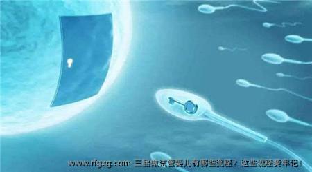 三胎做代孕有哪些流程？这些流程要牢记！