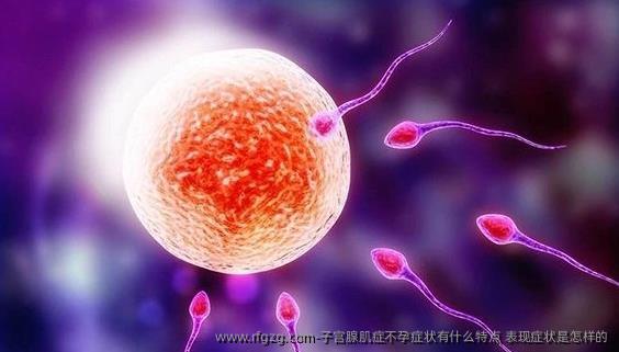 子宫腺肌症不孕症状有什么特点，表现症状是怎样的