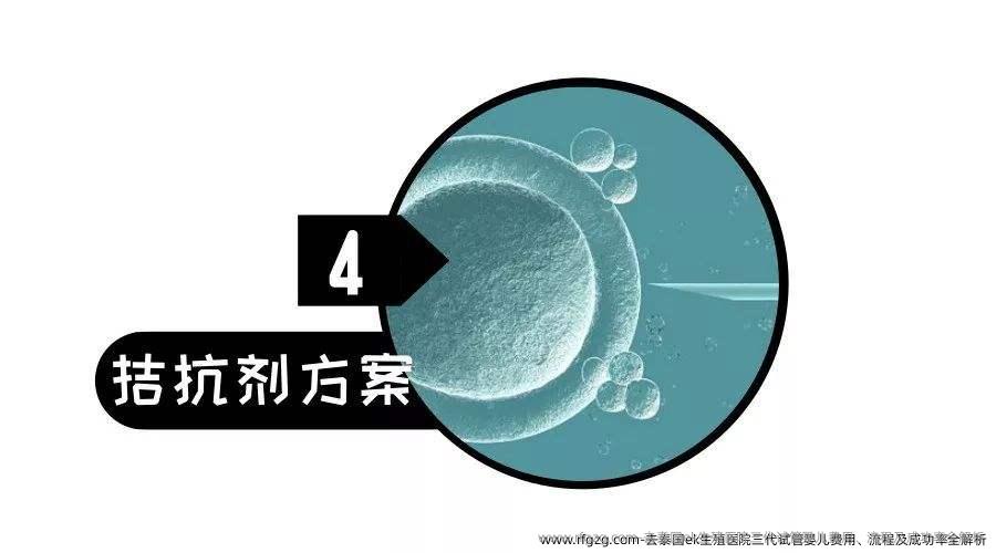 去泰国ek生殖医院三代代孕费用、流程及成功率全解析
