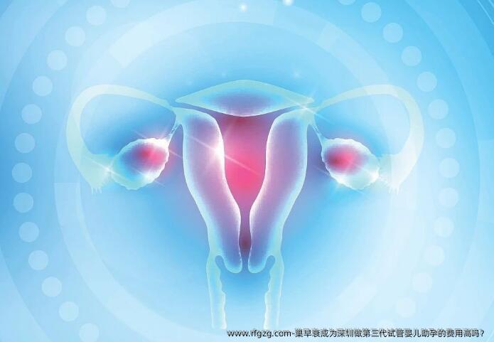 巢早衰成为深圳做第三代代孕助孕的费用高吗？
