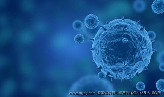 泰国代孕费用的详细构成及大概数额