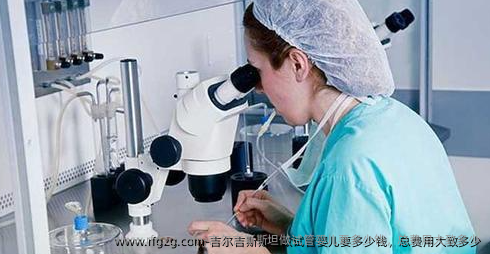 吉尔吉斯斯坦做代孕要多少钱，总费用大致多少
