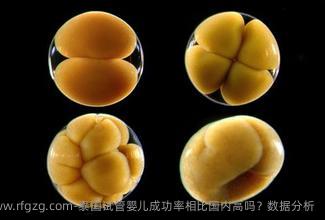 泰国代孕成功率相比国内高吗？数据分析