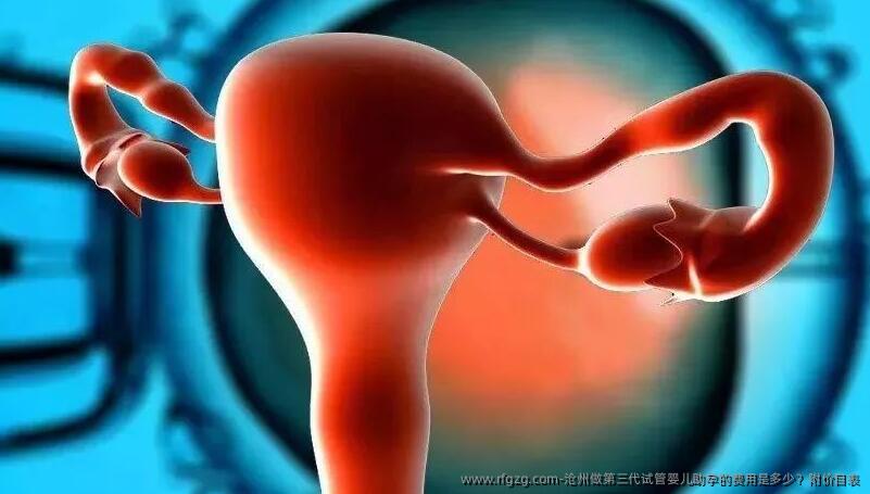 沧州做第三代代孕助孕的费用是多少？附价目表