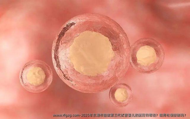 2025年东港市能做第三代代孕的医院有哪些？能用社保报销吗？