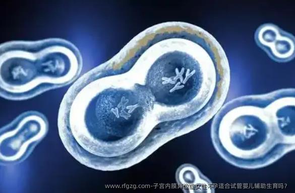 子宫内膜异位症女性不孕适合代孕辅助生育吗？