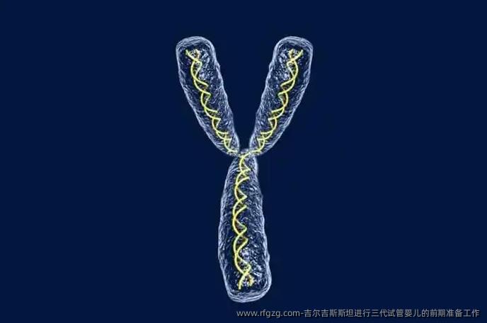 吉尔吉斯斯坦进行三代代孕的前期准备工作