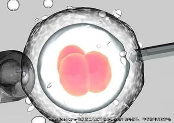 肇庆第三代试管要多少钱能申请补助吗，申请条件流程解析
