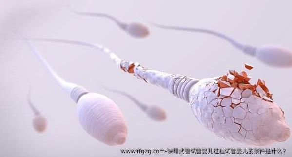 深圳武警代孕过程代孕的条件是什么？