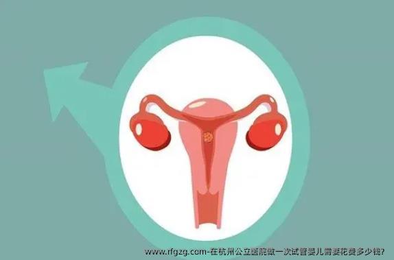 在杭州公立医院做一次代孕需要花费多少钱？