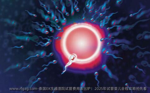 泰国EK生殖医院试管费用表出炉！2025年代孕全程攻略抢先看