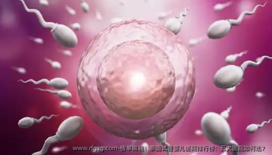 榜单揭晓！泰国代孕医院排行榜：五大医院如何选？
