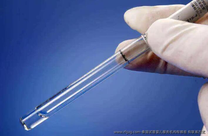 泰国试管婴儿服务机构有哪些？有联系方式？