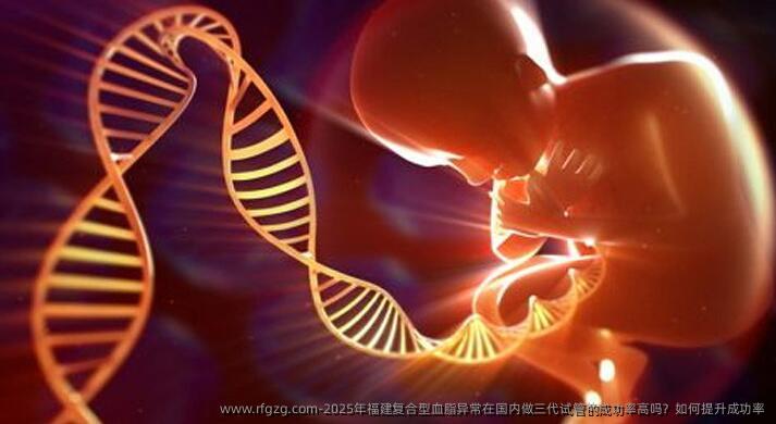 2025年福建复合型血脂异常在国内做三代试管的成功率高吗？如何提升成功率