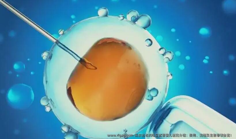 成都出名的私立代孕医院介绍：费用、流程及注意事项全览！