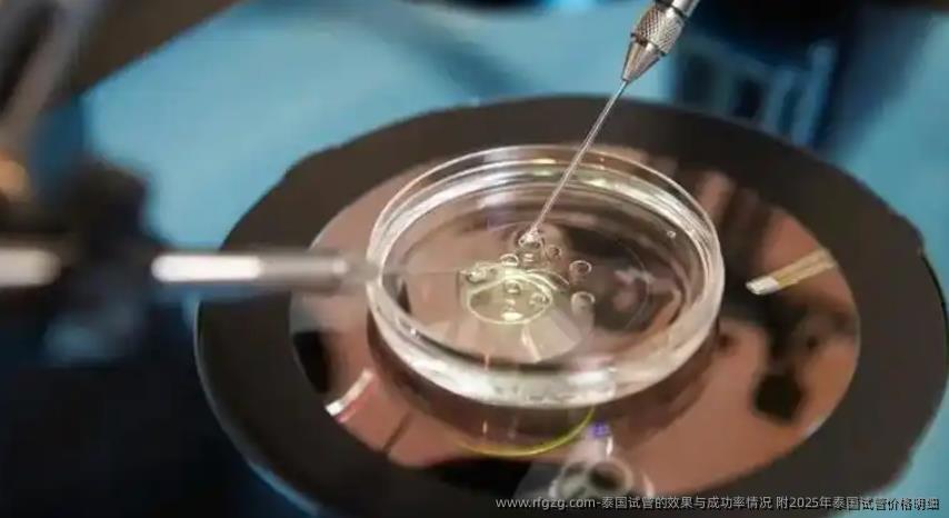 泰国试管的效果与成功率情况 附2025年泰国试管价格明细