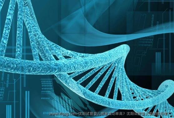 沈阳代孕哪家成功率高？沈阳代孕医院排行榜？