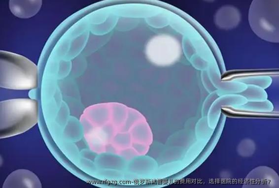 俄罗斯代孕的费用对比，选择医院的经济性分析？ 